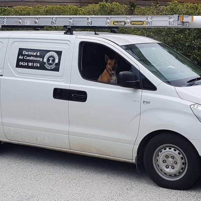 Friendly Puppy inside Harkin Electrics Work Vehicle